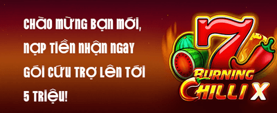 Hoàn Trả Cược Thua